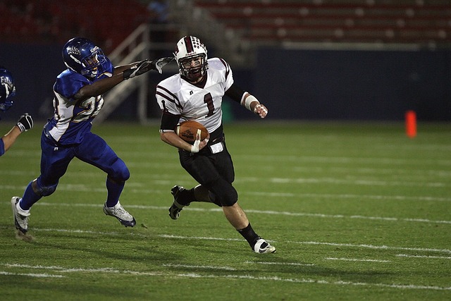 WBC确认伊陶玛与奥科利对决，胜者将获得拳王乌西克强制挑战权