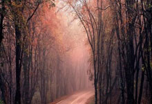 乒乓球——WTT重庆冠军赛:陈垣宇出局.