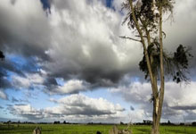 米体:纽卡斯尔关注加蒂,并将与阿森纳竞争弗拉霍维奇.