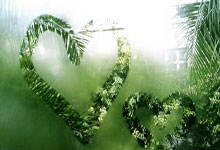 米体:纽卡斯尔关注加蒂,并将与阿森纳竞争弗拉霍维奇.