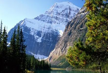 德甲:拜仁慕尼黑3比0轻取柏林联盟.