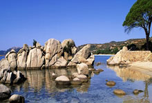 强如利拉德12年仅是6号秀,前面5人是谁?后来发展如何.